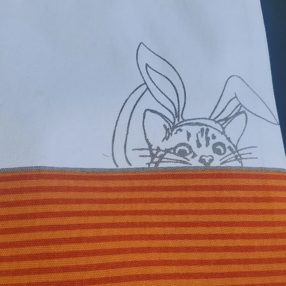 EASTER 🐇set 8 Easter Bunny placemat Ellen DeGeneres orange stripe Orange READ